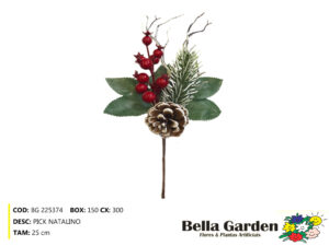 BG 225374 - PICK NATALINO
