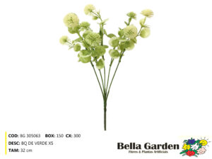 BG 305063 - BQ DE VERDE X5