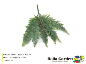 BG 309001 - SAMAMBAIA NATURAL