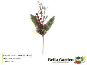 BG 220545 - PICK NATALINO