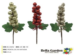BG 226452 - FRONTAL DE UVA NATALINA