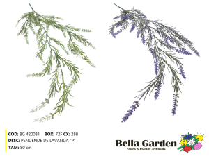 BG 420031 - PENDENDE DE LAVANDA 