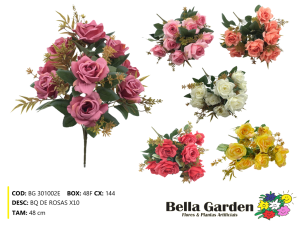 BG 301002E BQ DE ROSAS X10
