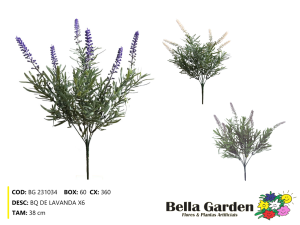 BG 231034 - BQ DE LAVANDA X6