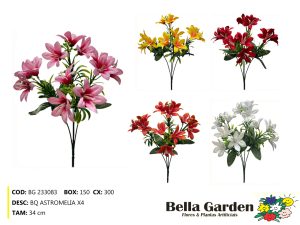 BG 233083 - BQ ASTROMELIA X4
