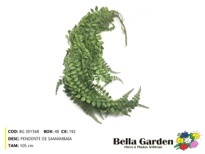 BG 301568 - PENDENTE DE SAMABAIA