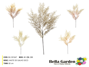 BG 301647 - HASTE DE GALHO SECO