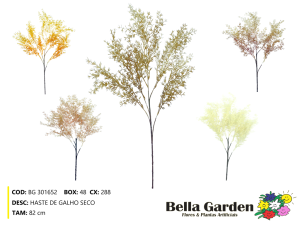 BG 301652 - HASTE DE GALHO SECO
