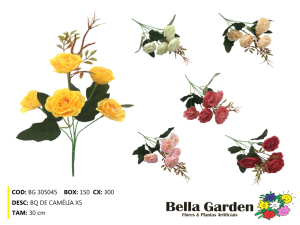 BG 305045 - BQ DE CAMELIA X5
