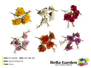 BG 305096 - BQ DE ROSAS ENV X5