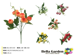 BG 305124V - BQ DE RANUNCULO X5