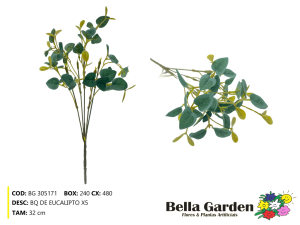 BG 305171 - BQ DE EUCALIPTO X5