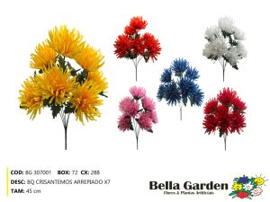 BG 307001 - BQ CRISANTEMOS ARREPIADO X7