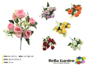 BG 307013 - BQ DE ROSA X7