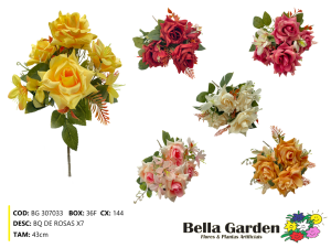 BG 307033 - BQ DE ROSAS X7