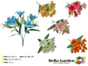 BG 405212 - BQ DE LIRIO X5