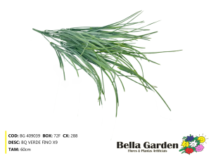 BG 409039 - BQ VERDE FINO X9