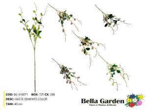 BG 410071 - HASTE SEMENTE COLOR