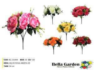 BG 235444 - BQ DE ROSA ABERTAS X9