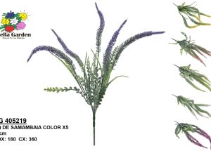 BG 405219 - BQ DE SAMAMBAIA COLOR X5