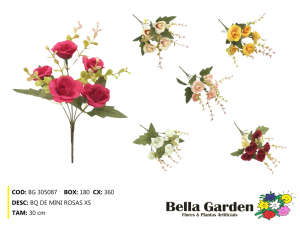 BG 305087 - BQ DE MINI ROSAS X5