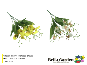 BG 305093 - BQ DE CHUVA DE OURO X5