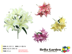 BG 305113 - BQ DE LIRIO X6
