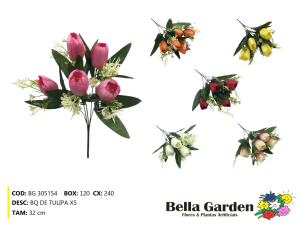 BG 305154 - BQ DE TULIPA X5