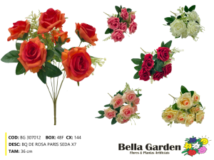 BG 307012 - BQ DE ROSA PARIS X7