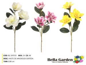 BG 397010 - HASTE DE MAGNOLIA SORTIDA