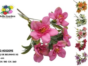 BG 405209E - BQ DE BEIJINHO X5