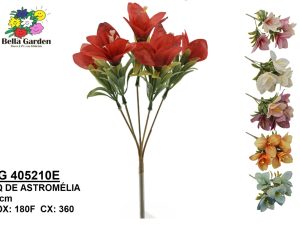 BG 405210E - BQ DE ASTROMELIA X5