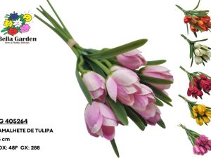 BG 405264 - RAMALHETE DE TULIPA