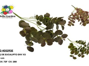 BG 405293E - BQ DE EUCALIPTO ENV X5