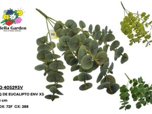 BG 405293V - BQ DE EUCALIPTO X5