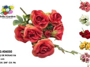 BG 406050 - BQ DE ROSAS X6