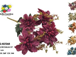 BG 407068 - BQ DE DALIA X7