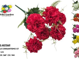 BG 407069 - BQ E CRISANTEMO X7