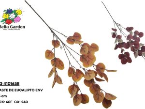 BG 410163E - HASTE DE EUCALIPTO ENV