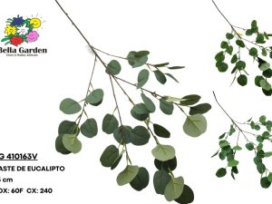 BG 410163V - HASTE DE EUCALIPTO