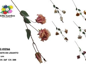 BG 410166 - HASTE DE LISIANTO