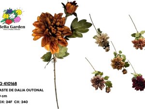 BG 410168 - HASTE DE DALIA OUTONAL