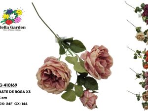 BG 410169 - HASTE DE ROSA X3