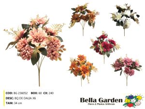 BG 236052 - BQ DE DALIA X6