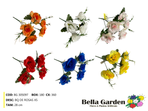BG 305097 - BQ DE ROSAS X5