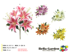 BG 305114 - BQ DE LIRIO X7