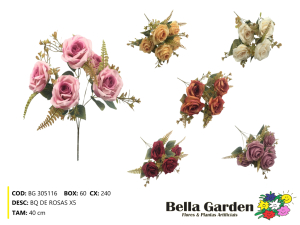 BG 305116 - BQ DE ROSAS X5