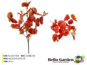 BG 305118OR - BQ DE EUCALIPTO X5