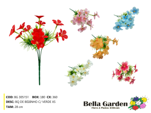 BG 305151 - BQ DE BEIJINHO C/ VERDE X5