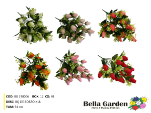 BG 318006 - BQ DE BOTAO X18